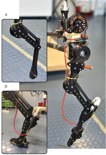 Diaphragm Ankle Actuation for Efficient Series Elastic Legged Robot Hopping
