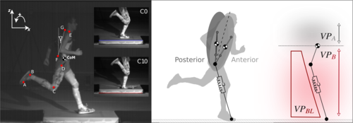 Postural stability in human running with step-down perturbations: an experimental and numerical study