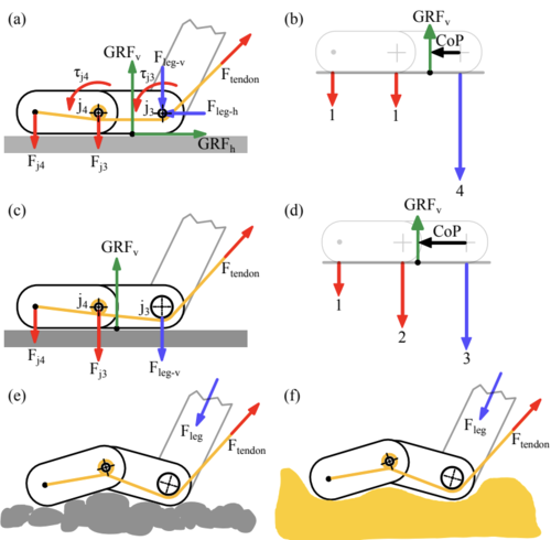 Multi-segmented Adaptive Feet for Versatile Legged Locomotion in Natural Terrain